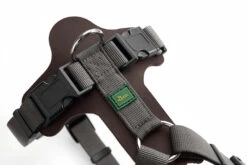 Hunter Geschirr Aalborg Mixed Leder/Nylon -Ruffwear Verkaufsgeschäft 17447scr 5f1b9791b3884d0