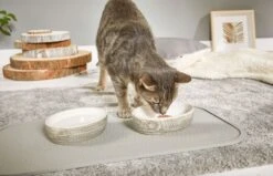 Wolters Napfunterlage Rainbow 65 X 35cm -Ruffwear Verkaufsgeschäft 18101M 1 napfunterlage rainbow 1920x1920