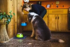 Ruffwear Basecamp Mat Twilight Gray One Size 13 Ruffwear Basecamp Mat Twilight Gray One Size -Ruffwear Verkaufsgeschäft 2080 Basecamp Mat 3 1800x1024