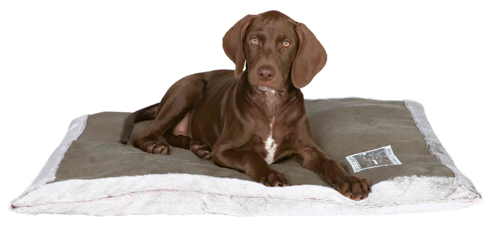 Trixie Kissen Best Of All Breeds Hellgrau/taupe 4 Trixie Kissen Best Of All Breeds Hellgrau/taupe – Bild 2