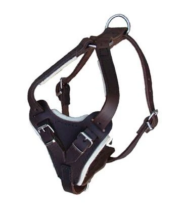 Junior Ledergeschirr 3 Junior Ledergeschirr