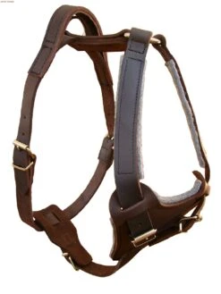 Junior Arbeitsgeschirr Extra Stark Mit Griff