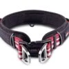 Wolters Halsband Active Pro