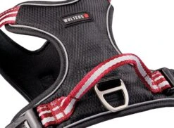 Wolters Geschirr Active Pro -Ruffwear Verkaufsgeschäft 28036 3 active pro geschirr.web 1920x1920