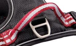 Wolters Geschirr Active Pro -Ruffwear Verkaufsgeschäft 28036 4 active pro geschirr.web 1920x1920