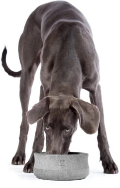 Laboni Napf Rocky Stone -Ruffwear Verkaufsgeschäft 30010 3