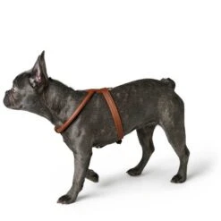 Hunter Geschirr Round & Soft Luxus Elk Petit, Leder -Ruffwear Verkaufsgeschäft 43542 001 image 20cog