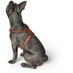 Hunter Geschirr Round & Soft Luxus Elk Petit, Leder -Ruffwear Verkaufsgeschäft 43542 002 image 20cog