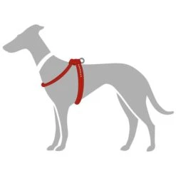 Hunter Geschirr Round & Soft Luxus Elk Petit, Leder -Ruffwear Verkaufsgeschäft 61469 001 grafik 20rot