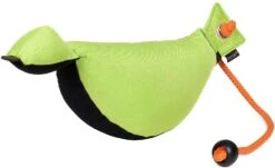 Mystique Bird Dog Dummy