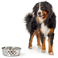 Hunter Edelstahlnapf Namy 11 Hunter Edelstahlnapf Namy -Ruffwear Verkaufsgeschäft 66306 001 image 18