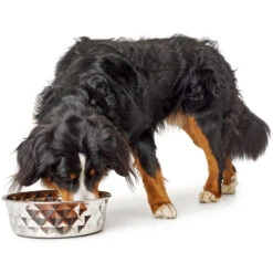 Hunter Edelstahlnapf Namy 12 Hunter Edelstahlnapf Namy -Ruffwear Verkaufsgeschäft 66306 002 image 18