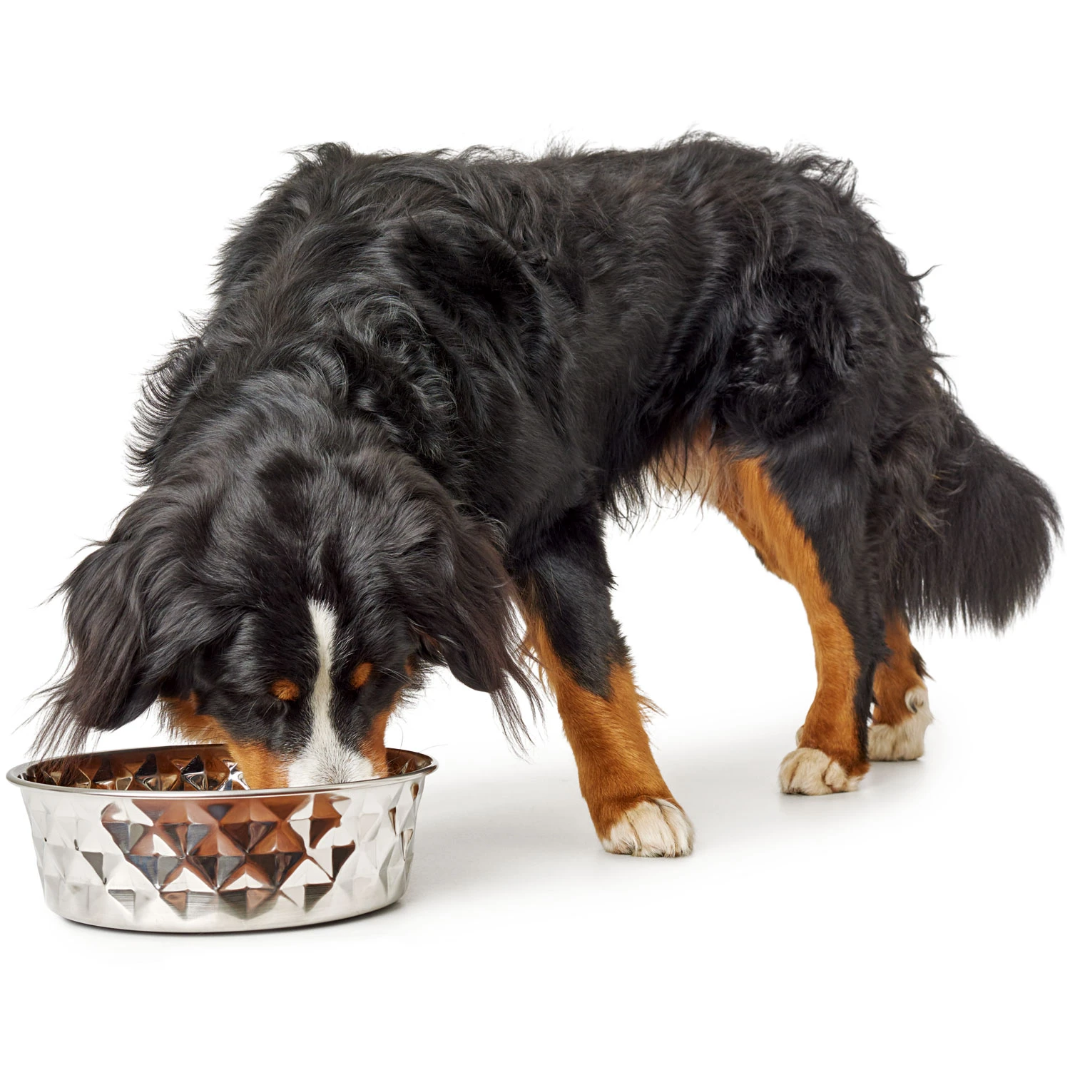 Hunter Edelstahlnapf Namy 7 Hunter Edelstahlnapf Namy – Bild 5