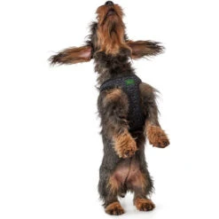 Hunter Geschirr Hilo Soft Comfort, Mesh 11 Hunter Geschirr Hilo Soft Comfort, Mesh -Ruffwear Verkaufsgeschäft 66702 002 image 18sil