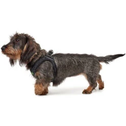 Hunter Geschirr Hilo Soft Comfort, Mesh 12 Hunter Geschirr Hilo Soft Comfort, Mesh -Ruffwear Verkaufsgeschäft 66702 004 image 18sil