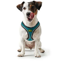 Hunter Geschirr Hilo Comfort, Mesh Mit Refl. Bise -Ruffwear Verkaufsgeschäft 67133 007 image 19tC3BCr