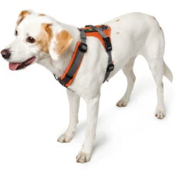 Hunter Geschirr Maldon, Mesh -Ruffwear Verkaufsgeschäft 67515 001 image 19ora