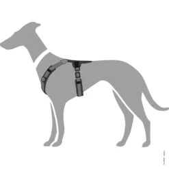 Hunter Geschirr Maldon, Mesh -Ruffwear Verkaufsgeschäft 68879e PlQu2f 67491 001 grafik 20