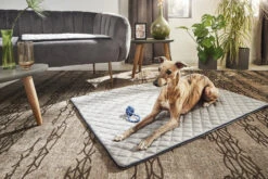 Laboni Decke OXFORD -Ruffwear Verkaufsgeschäft 701203 3