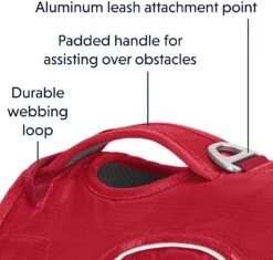 Ruffwear Web Master Harness Red Currant -Ruffwear Verkaufsgeschäft 81qKAHAzaML. AC SL1500