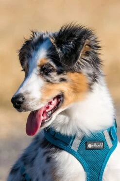 Petlando Geschirr Mesh Vest -Ruffwear Verkaufsgeschäft AnPsBqXA