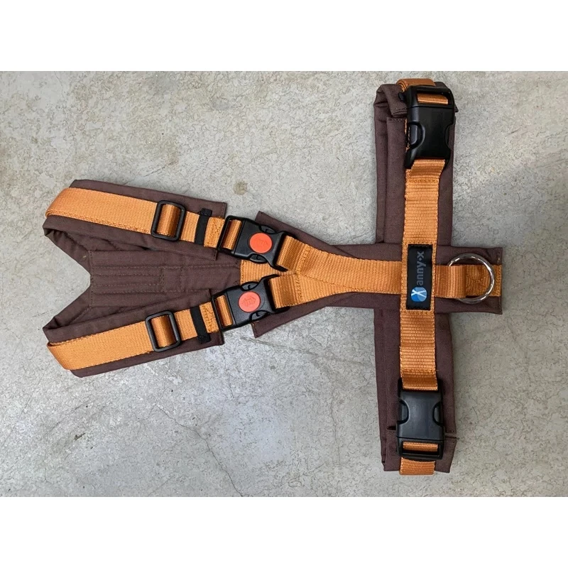 Annyx Geschirr OPEN Fun Braun / Bernstein 3 Annyx Geschirr OPEN Fun Braun / Bernstein