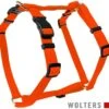 Wolters Geschirr Basic -Ruffwear Verkaufsgeschäft Basic Geschirr Orange Logo