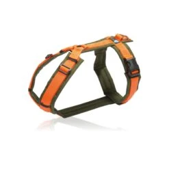 Annyx Geschirr Fun Oliv / Orange