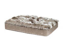 Maul Buddelmatte Luchs