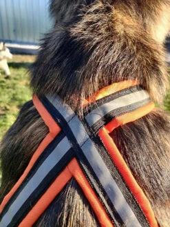 Alphadogsport X-Back ALPHA RACER Zuggeschirr 8 Alphadogsport X-Back ALPHA RACER Zuggeschirr -Ruffwear Verkaufsgeschäft DerHundling Alphadogsport Racer1