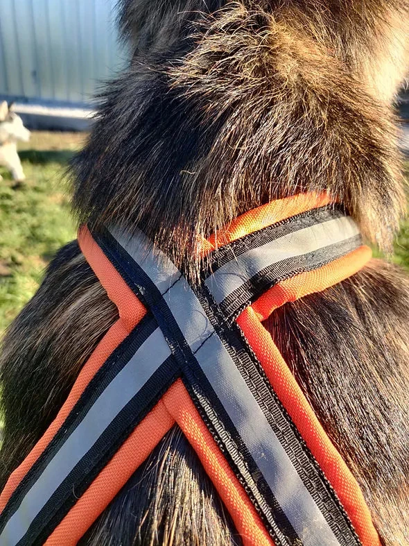 Alphadogsport X-Back ALPHA RACER Zuggeschirr 5 Alphadogsport X-Back ALPHA RACER Zuggeschirr – Bild 3