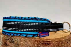 Zero DC Blizard Royal Zugstopp Halsband Türkis