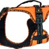 Zero DC Easy Peasy Alltags- Und Wandergeschirr Neonorange -Ruffwear Verkaufsgeschäft DerHundling ZeroDC EasyPeasyGeschirr orange