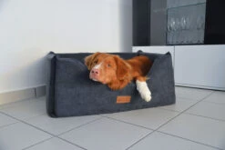 Petlando Hundebett Orlando Ortho Anthrazit -Ruffwear Verkaufsgeschäft Emo Orlando Ortho anthrazit 19 06 19 RGB 300dpi