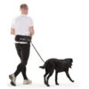 Ebi Europet D&D Sports Active Walker-110cm -Ruffwear Verkaufsgeschäft Europet20DD20Active20Walker20ElastLeash20for20Jogging 01