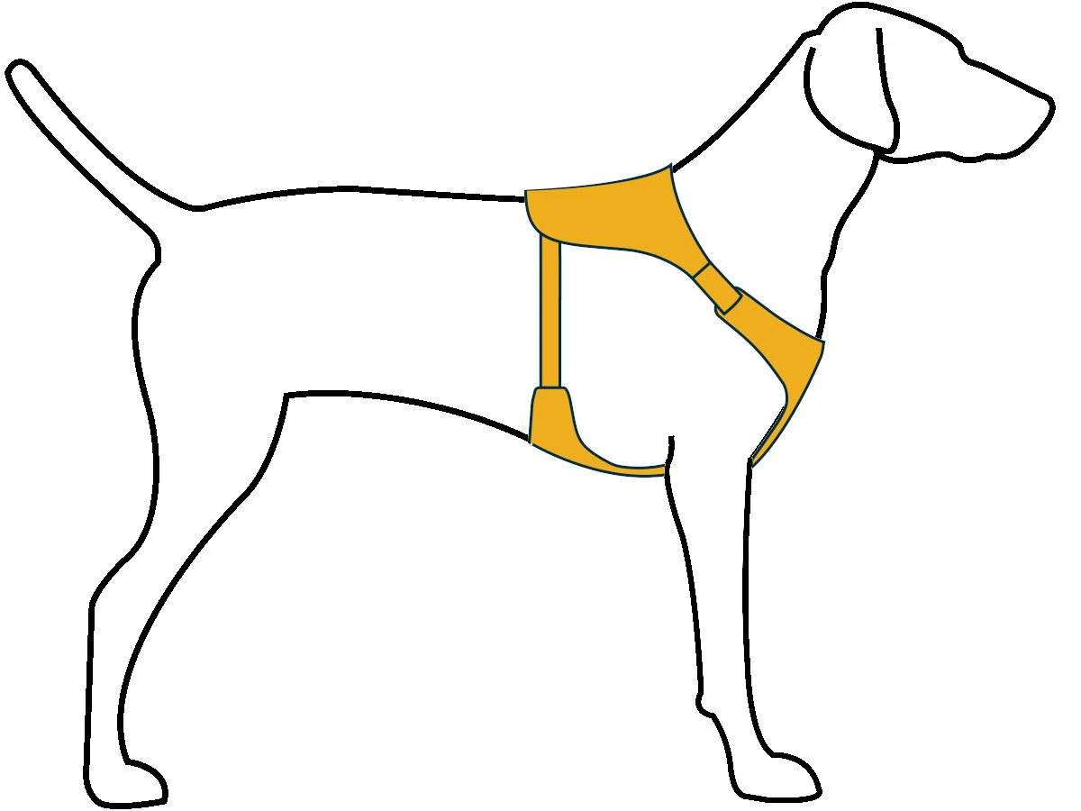 Ruffwear Hi & Light Harness Blue Atoll 8 Ruffwear Hi & Light Harness Blue Atoll – Bild 6