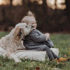 Hunter Kissen Ribe Beige -Ruffwear Verkaufsgeschäft HUNTER20kissen20ribe20beige206