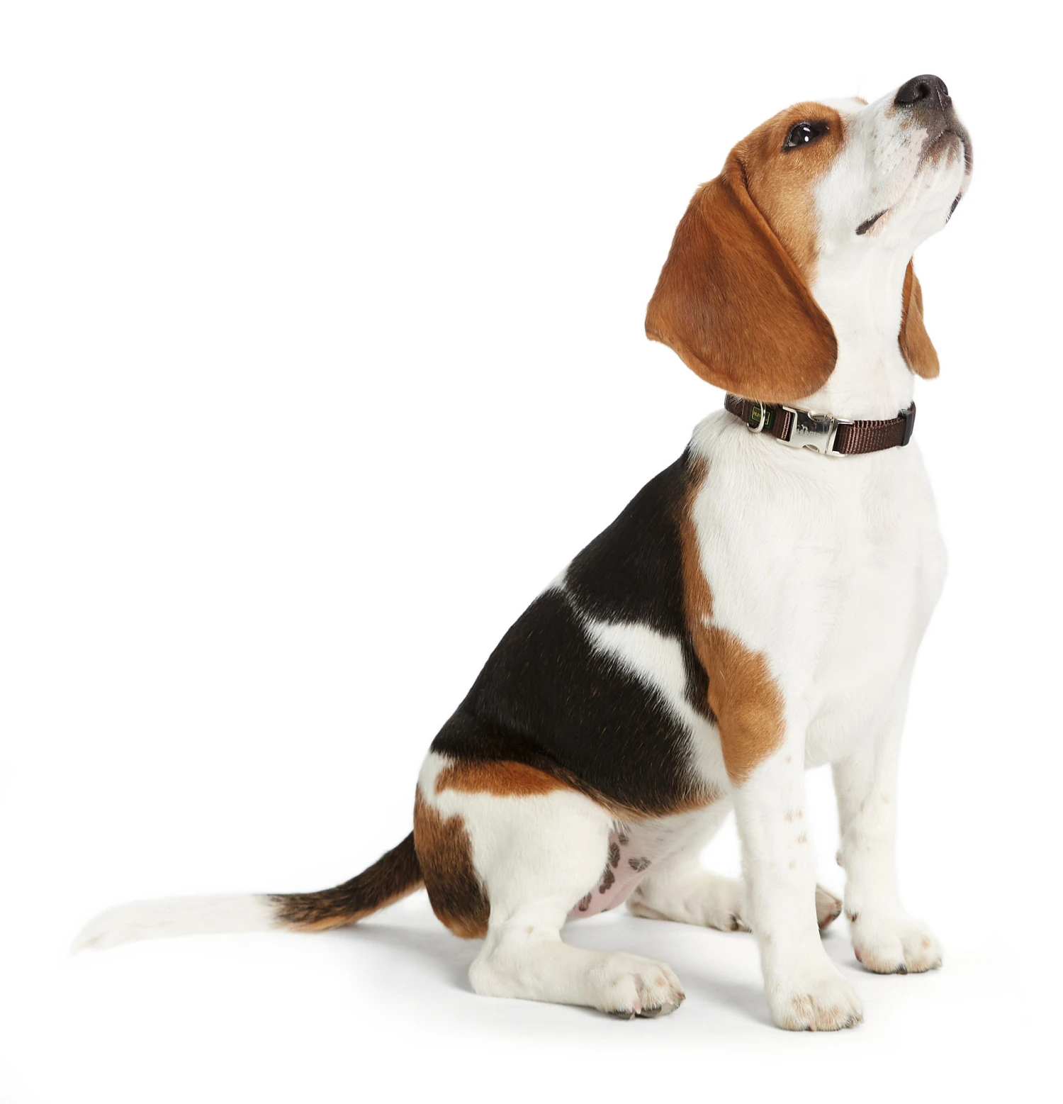 Hunter Halsung Vario Basic ALU-Strong, Nylon 4 Hunter Halsung Vario Basic ALU-Strong, Nylon – Bild 2