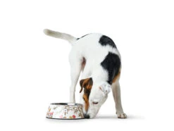 Hunter Melamin-Napf Mogami Weiß/multicolor -Ruffwear Verkaufsgeschäft HUNTER 9653 65140 001 image 17 lpr