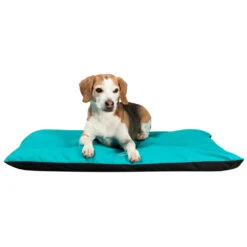 Jeggo Kissen Buchweizen 7 Jeggo Kissen Buchweizen -Ruffwear Verkaufsgeschäft Jeggo20Kissen20Buchweizen2002