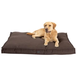 Jeggo Memory Foam Matratze Ortho Classic -Ruffwear Verkaufsgeschäft Jeggo Foam mit hund