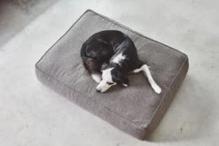 MiaCara Loungekissen Stella 7 MiaCara Loungekissen Stella -Ruffwear Verkaufsgeschäft MC C01 016 01 ML Sleep Stella Lounge Cushion Mottled Mocca Momo 710