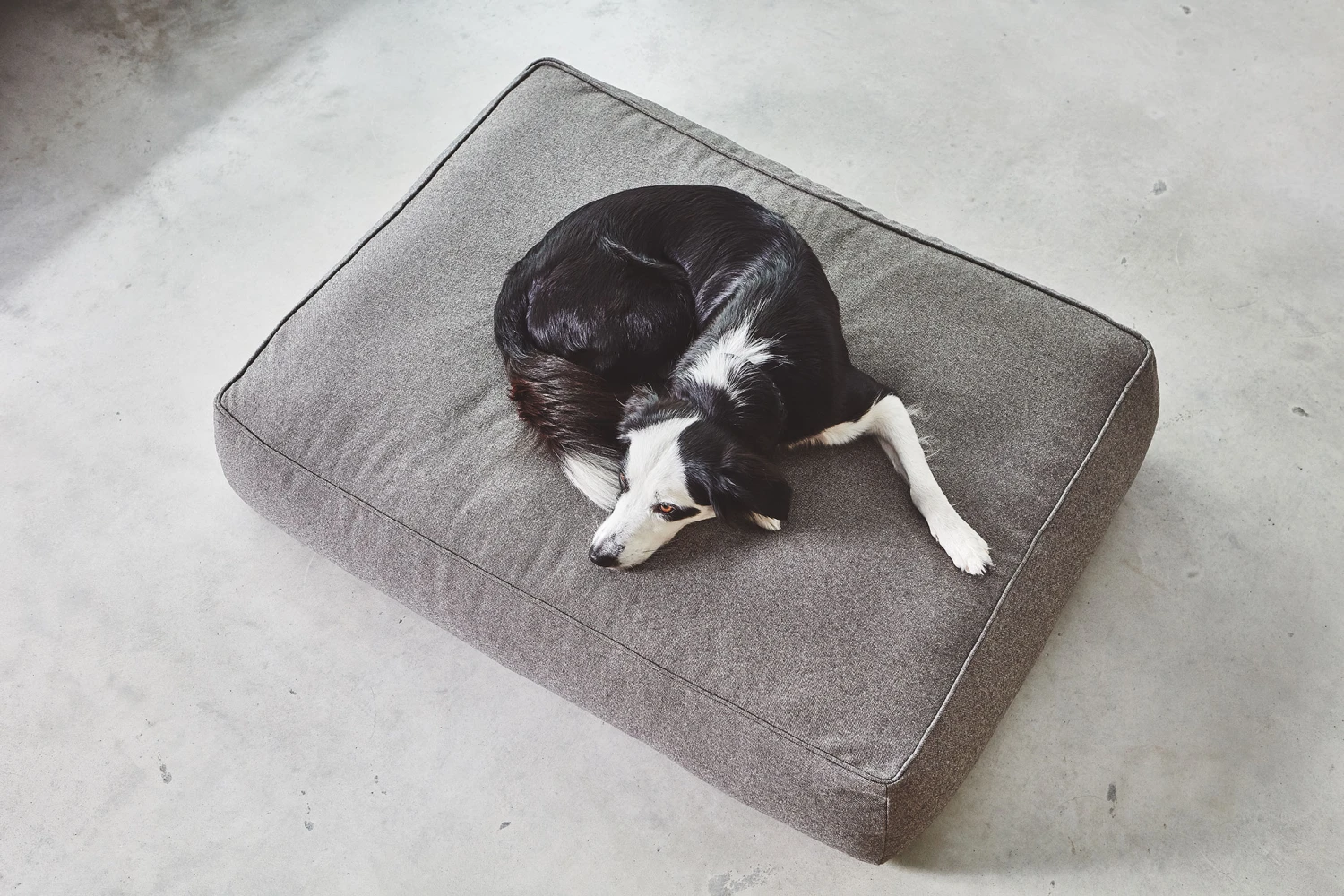 MiaCara Loungekissen Stella 5 MiaCara Loungekissen Stella – Bild 3