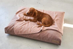 MiaCara Hundekissen Velluto Nude -Ruffwear Verkaufsgeschäft MC C01 019 02 Sleep Cushion Velluto Nude2
