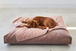 MiaCara Hundekissen Velluto Nude -Ruffwear Verkaufsgeschäft MC C01 019 02 Sleep Cushion Velluto Nude3