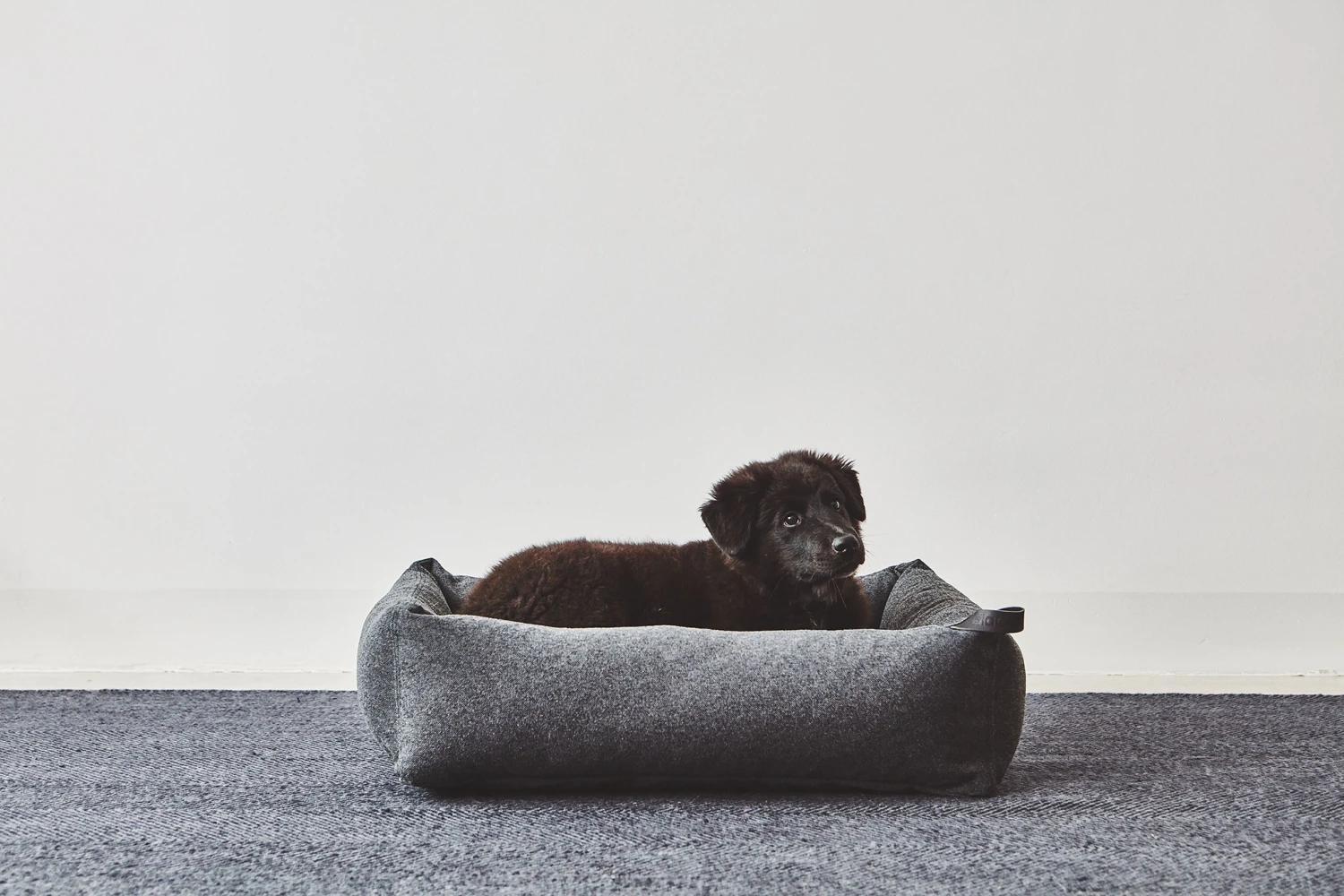 MiaCara Box-Bett Stella 4 MiaCara Box-Bett Stella – Bild 2