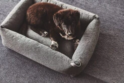 MiaCara Box-Bett Stella 10 MiaCara Box-Bett Stella -Ruffwear Verkaufsgeschäft MC C02 012 03 SM Sleep Stella Box Bed Mottled Anthracite Lou 064