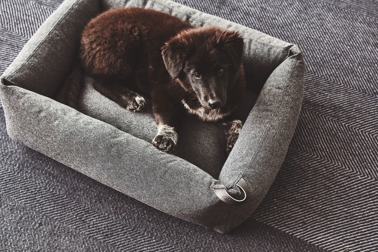 MiaCara Box-Bett Stella 5 MiaCara Box-Bett Stella – Bild 3