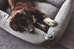 MiaCara Box-Bett Stella 11 MiaCara Box-Bett Stella -Ruffwear Verkaufsgeschäft MC C02 012 03 SM Sleep Stella Box Bed Mottled Anthracite Lou 072