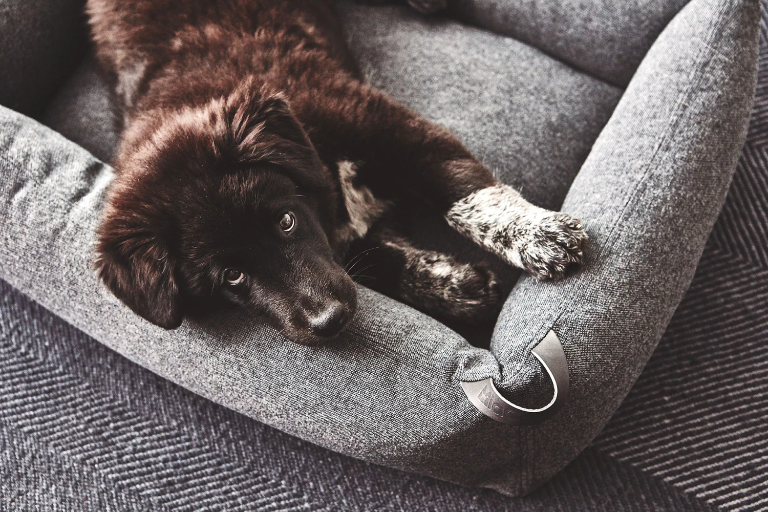 MiaCara Box-Bett Stella 6 MiaCara Box-Bett Stella – Bild 4